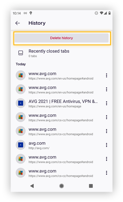 You’ll see a list of recently viewed websites. Tap Delete history at the top of the screen.