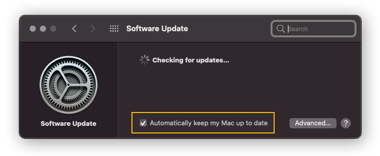 Controllo degli aggiornamenti in macOS Big Sur.