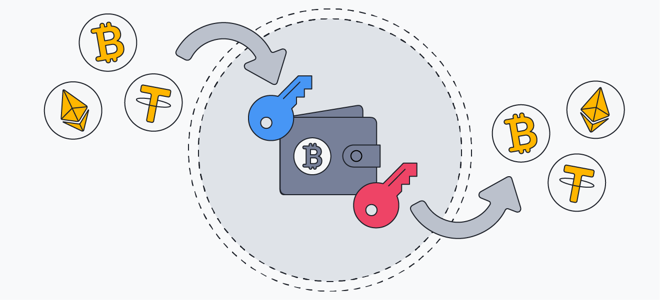 Public keys are used to transfer cryptocurrency to a wallet, and private keys are used to access the currency stored in a wallet.