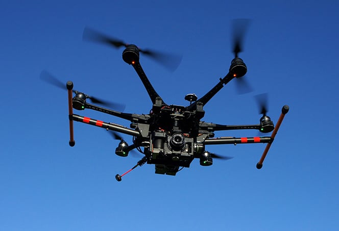 Vols de drones en milieu naturel : quels sont les impacts ? - Drone  University
