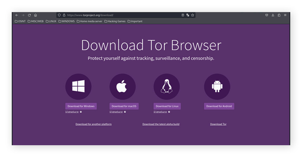 To access the dark web, download Tor Browser.