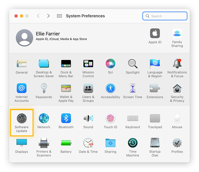 Software Update highlighted in System Preferences