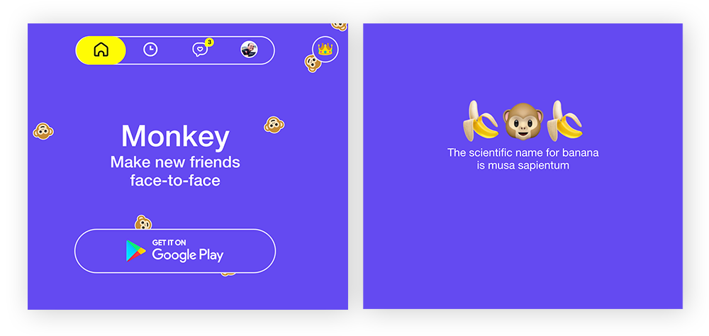 L’interface de bureau du chat vidéo de l’application Monkey où rencontrer des inconnus en tête-à-tête.