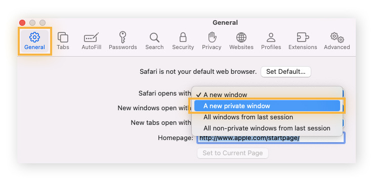 Select “A new private window” from the dropdown menu beside “Safari opens with”