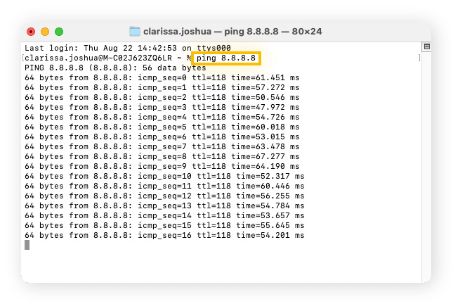 Running a ping test on Mac to test internet connectivity.