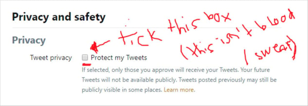 So schützen Sie Ihre Tweets über das Twitter-Menü „Datenschutz und Sicherheit“