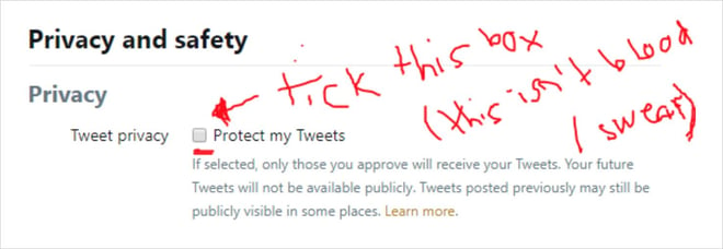 How to protect your tweets in the Twitter privacy and safety menu