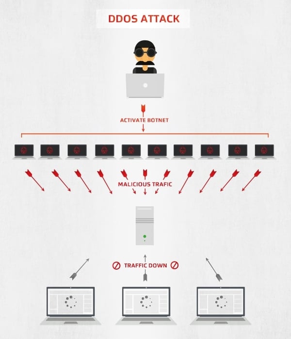Come funzionano gli attacchi DDoS con le botnet