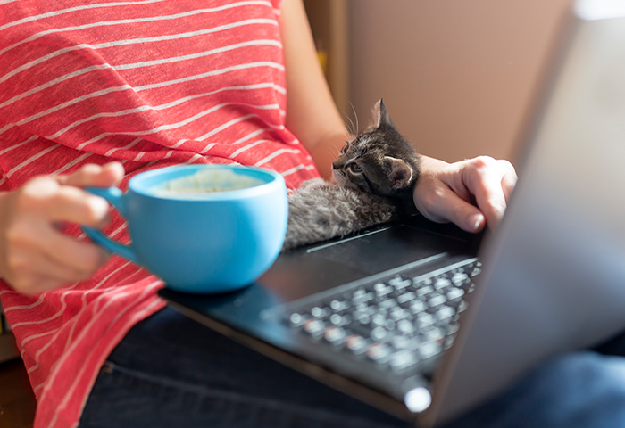 Should You Shut Down, Sleep or Hibernate Your PC or Mac Laptop? | AVG