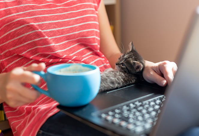 Le seul PC dont on a besoin à la maison est une tablette - Le Soir